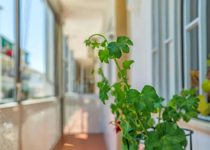 Altillo Sweet & Parking Incluido Apartment *