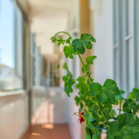 Altillo Sweet & Parking Incluido Apartment *